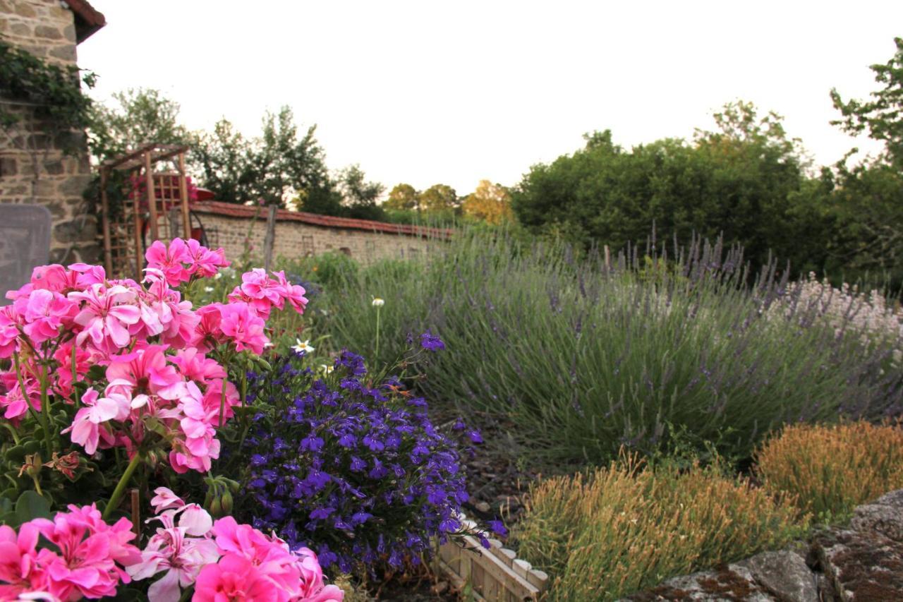 La Belle Ame Bed & Breakfast Saint-Priest-des-Champs Dış mekan fotoğraf