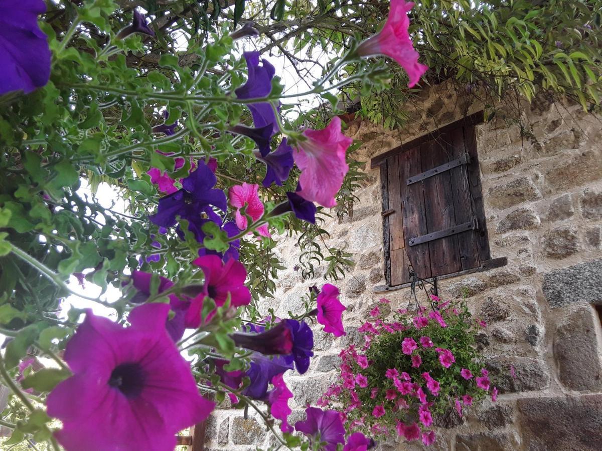 La Belle Ame Bed & Breakfast Saint-Priest-des-Champs Dış mekan fotoğraf